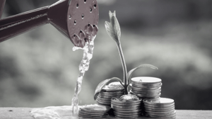 Fundraising: What do you really need to know about your investors?
